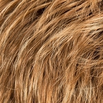 Gallery_spring-hi-lightbernstein-rooted