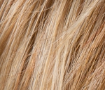 Gallery_ELL000949-10952