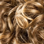 Gallery_jamila-plus-bernstein-rooted