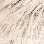 Gallery_risk-lightchampagne-rooted