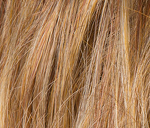 Gallery_ginger-31-19-30