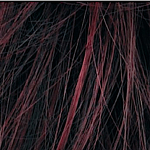 Gallery_675c303e19f3c-ELL002281-29131