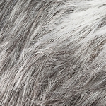 Gallery_risk-sensitive-II-salt-pepper-mix