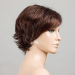 Gallery_open-darkauburn-mix-bs