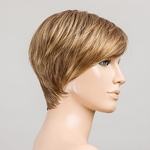 Gallery_point-lightbernstein-rooted-bs