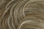 Gallery_per003716-29288