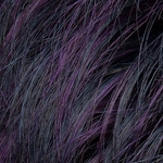 Gallery_black-violet
