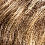 Gallery_fair-mono-bernstein-rooted