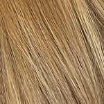 Gallery_qon-12R-14-16H