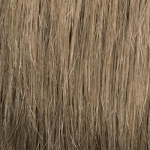 Gallery_001959-66643