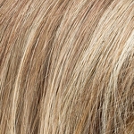 Gallery_limit-II-bernstein-rooted