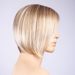 Gallery_sunset-champagne-rooted-bs