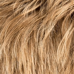 Gallery_spring-hi-sand-rooted