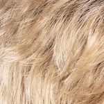 Gallery_risk-comfort-champagne-rooted