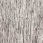 Gallery_001968-66651