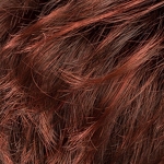 Gallery_coco-auburn-mix