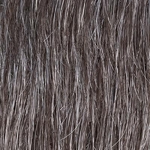 Gallery_001971-66654