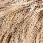 Gallery_fair-mono-champagne-rooted