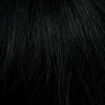 Gallery_1