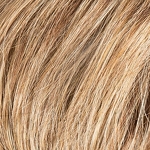 Gallery_ever-mono-bernstein-rooted