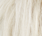 Gallery_ELL000446-8372