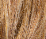 Gallery_RAQ000078-27506