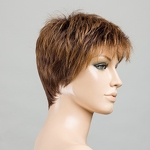 Gallery_chat-chocolate-rooted-bs