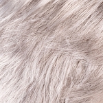 Gallery_risk-comfort-silver-rooted