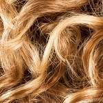 Gallery_jamila-plus-ginger-rooted