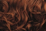 Gallery_0304-9006