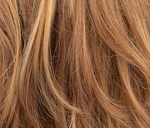 Gallery_ELL001147-22511