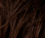 Gallery_ELL001054-10344