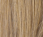 Gallery_POW000020-25716