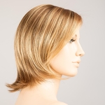 Gallery_dolce-soft-bernstein-multi-shad-bs