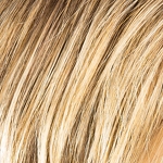 Gallery_disc-mono-part-bernstein-rooted