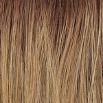 Gallery_HAI000311-17170