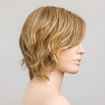 Gallery_cookie-mono-part-bernstein-rooted-bs