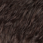 Gallery_risk-sensitive-II-esspresso-mix