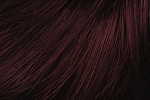 Gallery_per003556-17328
