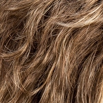 Gallery_foxy-bernstein-rooted