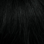 Gallery_HAI000295-35911