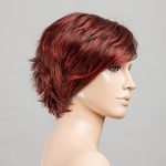 Gallery_open-hotchilli-rooted-bs