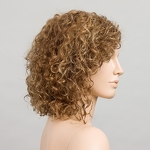 Gallery_disco-lightbernstein-rooted-bs