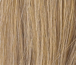 Gallery_POW000024-25733