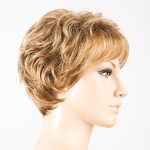 Gallery_bolzano-mono-bernstein-multi-shad-bs